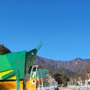 등억알프스야영장 | 신불산군립공원 등억알프스야영장 곤충(여치) 카라반 후기