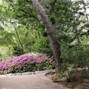 광장동 쉼터 이미지