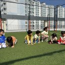 용인대 국가대표 태권도 | 초중고 아이들의 눈높이에서 함께하는 용인대 다사랑 태권도 후기