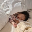 휘바핀란드위드플레이정글 이미지