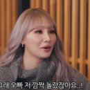 대성 이미지