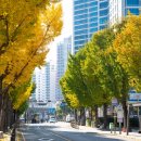 목동천길 이미지