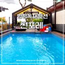 썬포레 이미지
