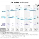 미미여행사 이미지