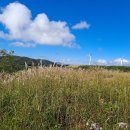 평화목장 이미지