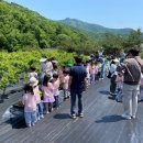 별내블루베리