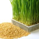 보리어린이집 이미지