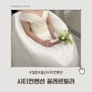 끌레르빌라 | W12_ UCC 울산시티컨벤션 · 끌레르빌라 웨딩드레스 본식 후기