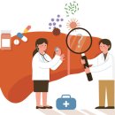 단백질·비타민D·아연이 예후 가른다 B형간염과 영양 ＜2＞ 이미지