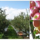 청송농장 이미지