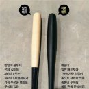 오타니 배트가 KBO에 왔다! '어뢰 배트' 허용 포함, 2026 시즌 달라진 규정 총정리