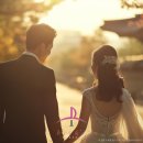 동반자 결혼상담소 이미지