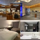 호텔메종 | 제주 메종 글래드 호텔 프리미엄 더블룸 후기 주차 레이트체크아웃