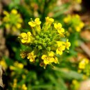 내일을향하여 이미지