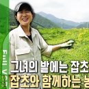 뽑거나 죽이지 마세요! 여기 잡초는 천연 비료, 천연 멀칭 효과를 줍니다. 세상에서 가장 큰 ‘나뭇잎 밭’ [자연의 철학자들] 이미지