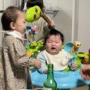 지성이해물찜 이미지