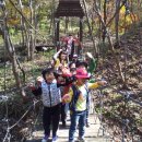 소양초병설유치원 이미지