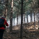 후근내산(816m). 깃대봉(845m△봉평 432). 둥근 봉(922m) /강원 평창 이미지