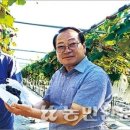 천현농협하나로마트 이미지