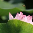 그린풍경 이미지