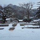 봄여름가을겨울펜션민박 이미지