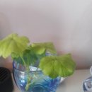 오늘머린 이미지