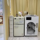 고양이 무마취미용&호텔 무냥무냥 부산서면점 이미지