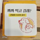 진이와보리의하루 네이버블로그