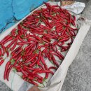 송림테마거리 이미지