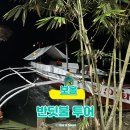 달빛강가 | 보홀반딧불체험 현지업체 조인투어 후기｜ 픽업·가격·시간 총정리