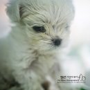 재영동물병원 이미지