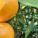 지운농장 이미지