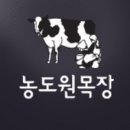 예찬목장 이미지