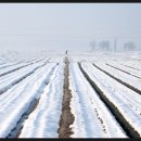 태백산맥 이미지