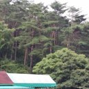 세걸펜션산장 네이버블로그