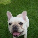 상사서로-10 이미지