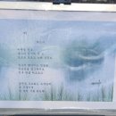 시화전 이미지