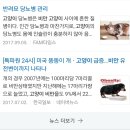 뚱냥이네 이미지