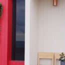 씨 스테이 이미지