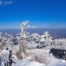 제394차 2026 신년 첫산행(1월10일 토) 민족의 성산 태백산 눈꽃산행 이미지