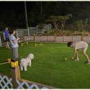 더블루네스 이미지