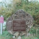 녹산사슴 이미지