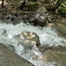 새아침펜션 이미지