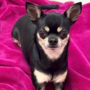 남동목장 이미지