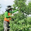 박영철농장 이미지