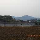 수곡농장 티스토리