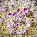 소상공인(예비창업,창업, 농업등)스마트스토어 강좌 | 소자본창업 무자본창업 쉬운아이템 리스크 적은 현실후기