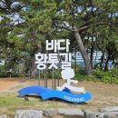 송림공원 내 이미지