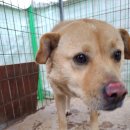 사파동225 이미지