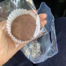 선흘리에 | 제주 조천 선흘리카페 , 흘🍵